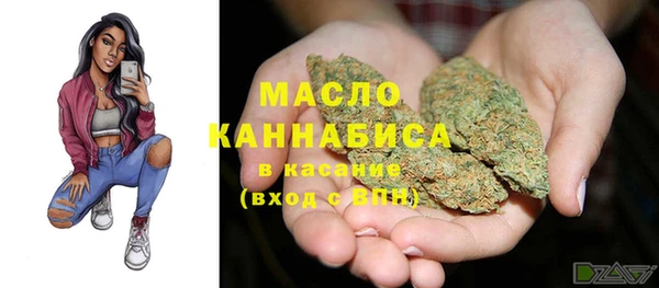 шишки Вязьма