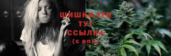 прущие грибы Вязники