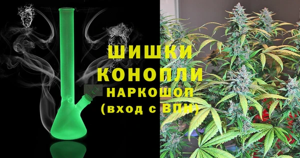 прущие грибы Вязники