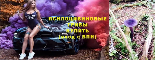 круглые Вяземский