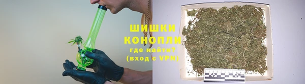 шишки Вязьма