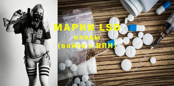 прущие грибы Вязники