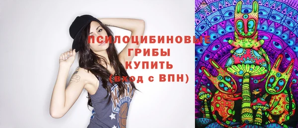 прущие грибы Вязники