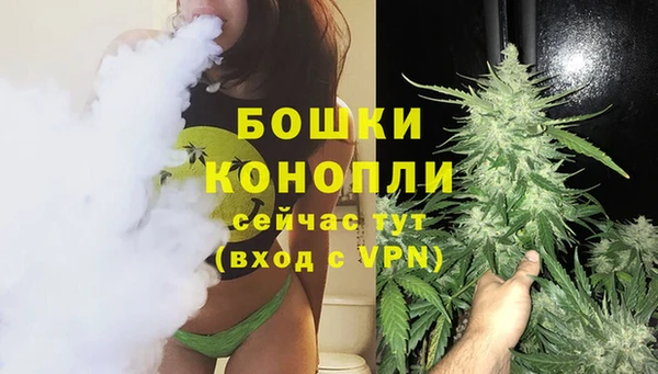 прущие грибы Вязники