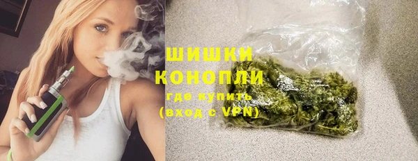 прущие грибы Вязники