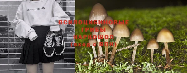 шишки Вязьма
