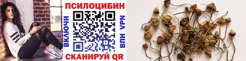 даркнет сайт  omg онион  Галлюциногенные грибы GOLDEN TEACHER  Березники 