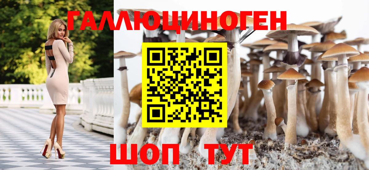 дарнет шоп  Галлюциногенные грибы Cubensis  Березники  Псилоцибиновые грибы GOLDEN TEACHER 